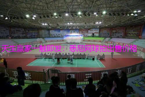悉尼网球拍出售价格