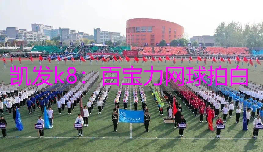 百宝力网球拍白