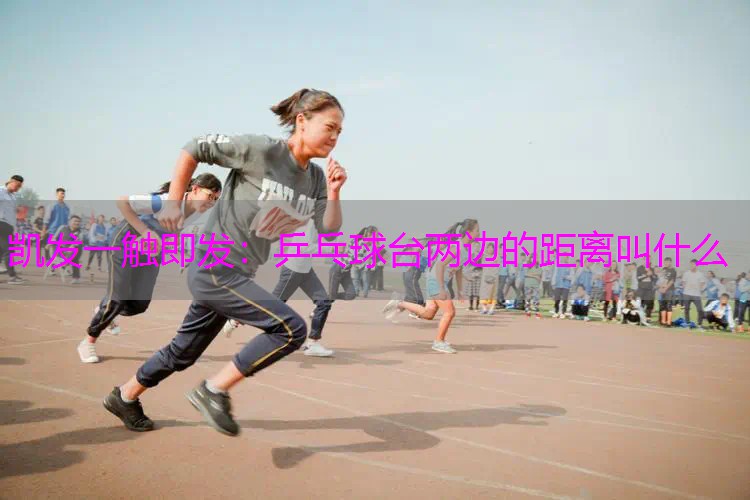 乒乓球台两边的距离叫什么
