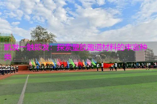 探索塑胶跑道材料的丰富种类