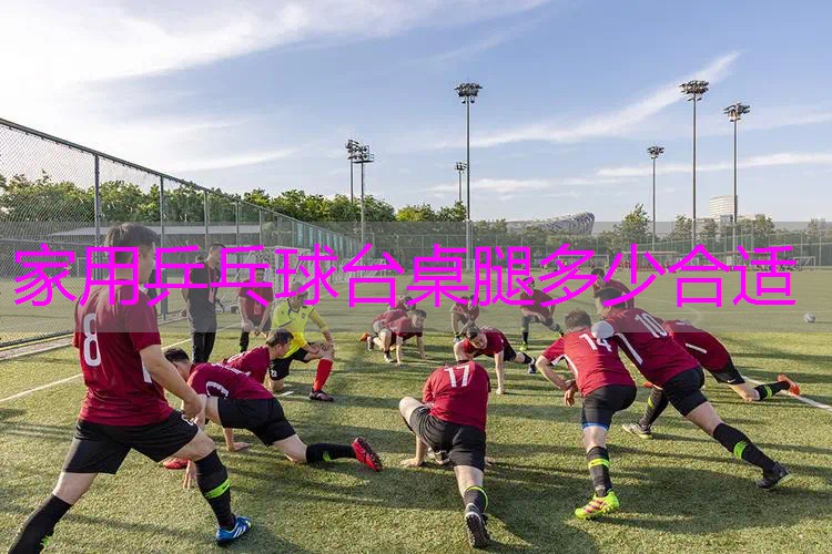家用乒乓球台桌腿多少合适